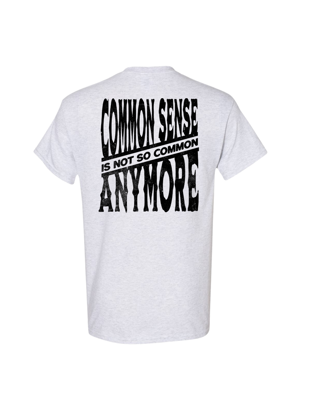 COMMON SENSE IS NOT SO COMMON ANYMORE T SHIRT