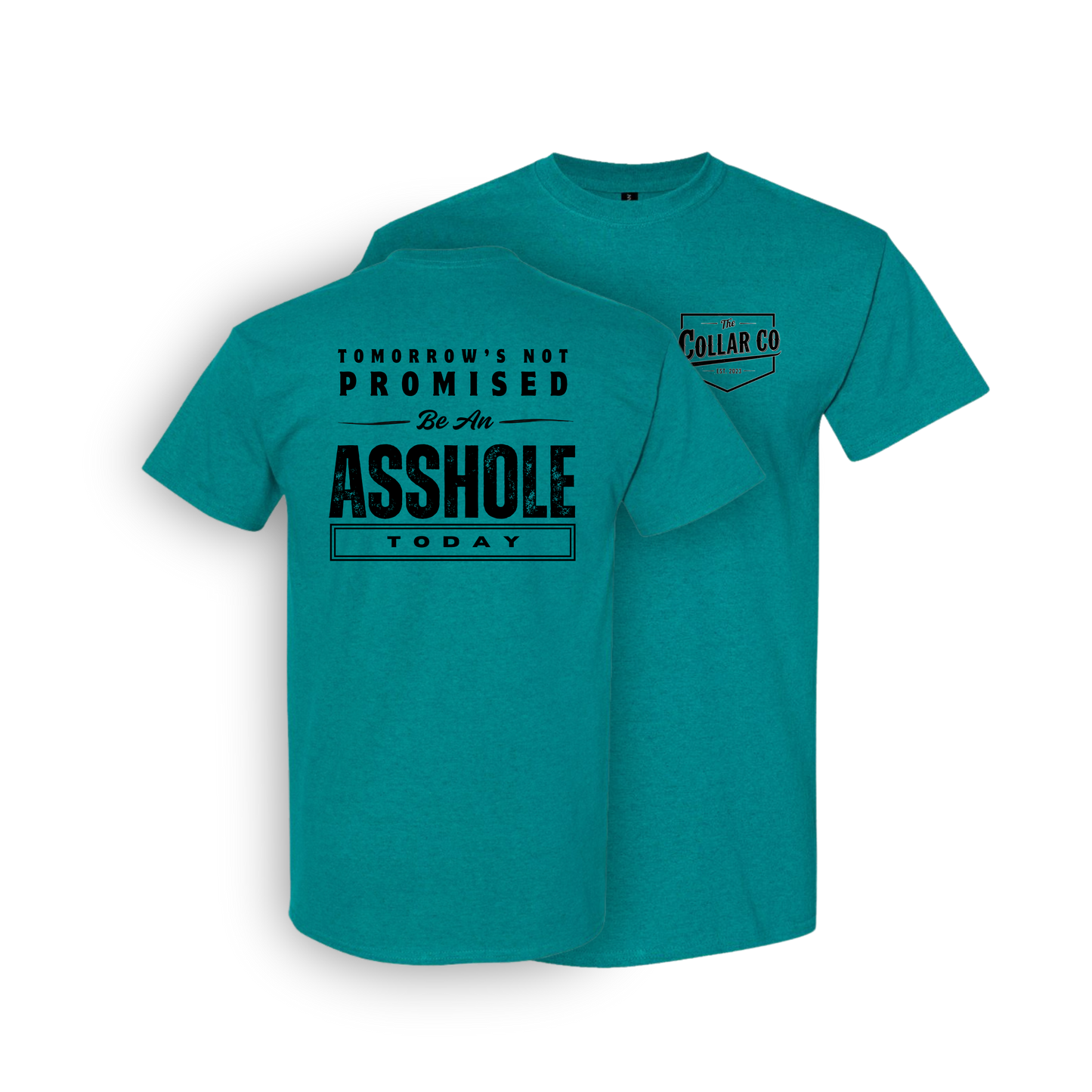 TOMORROWS NOT PROMISED T SHIRT