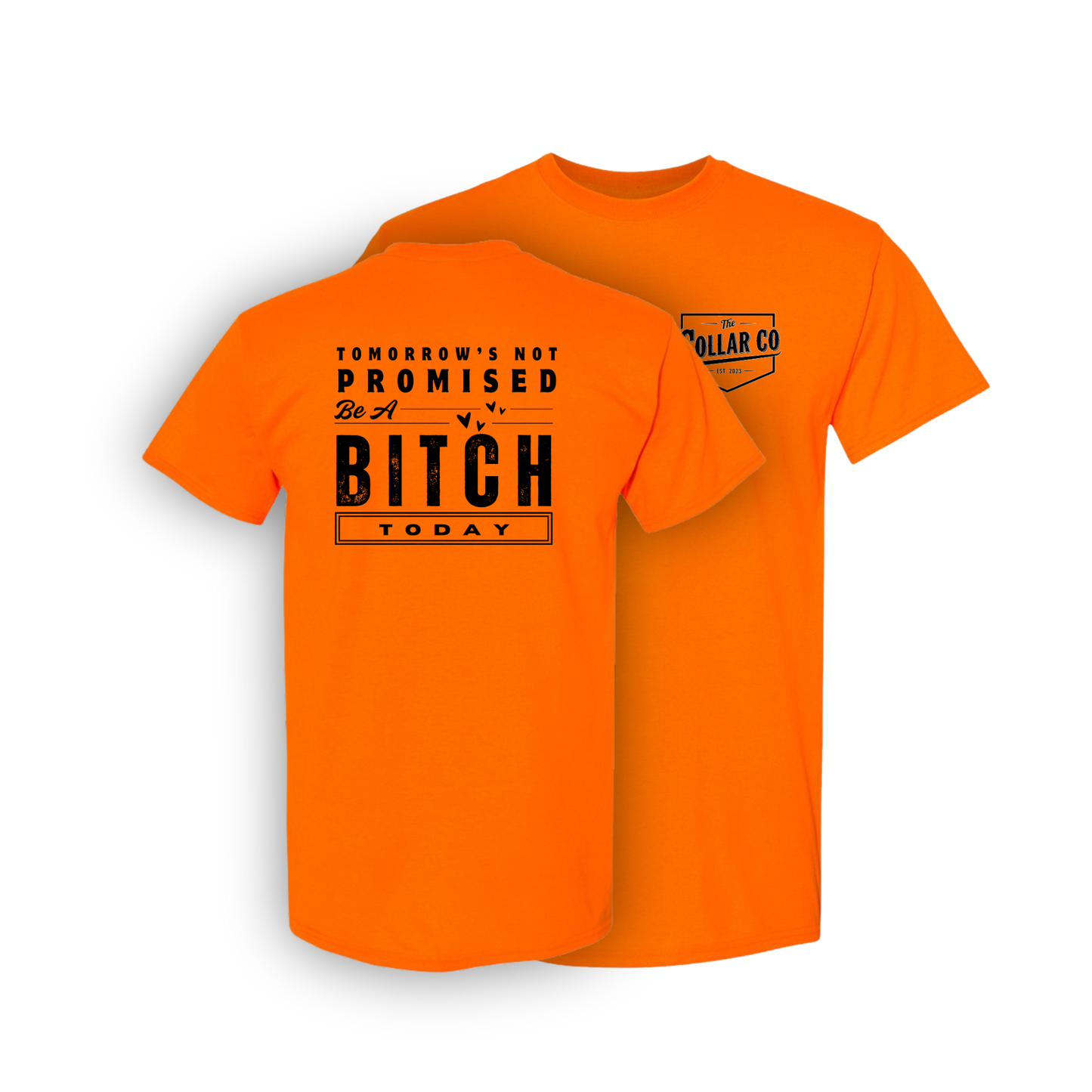 TOMORROW'S NOT PROMISED (FOR HER) T SHIRT