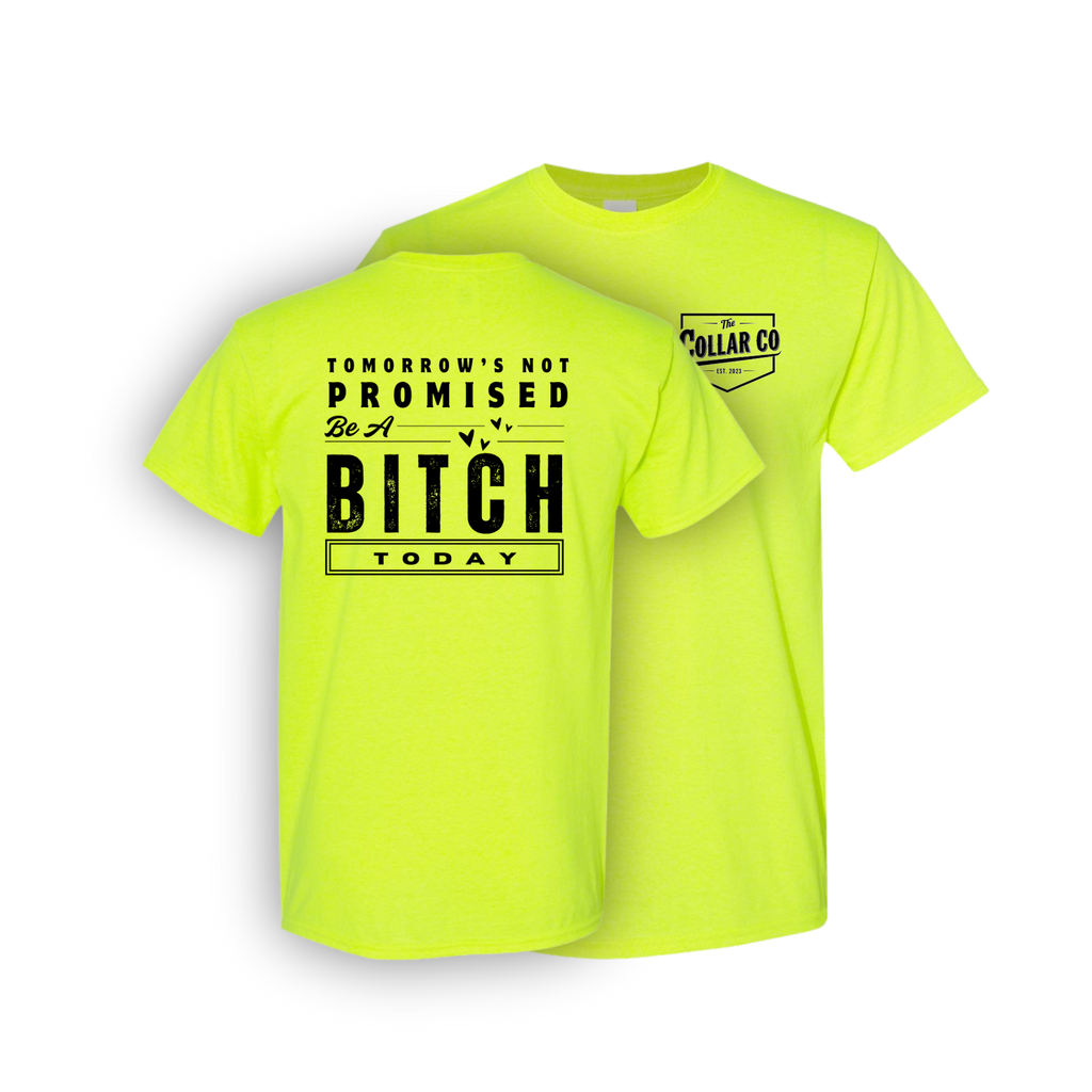 TOMORROW'S NOT PROMISED (FOR HER) T SHIRT