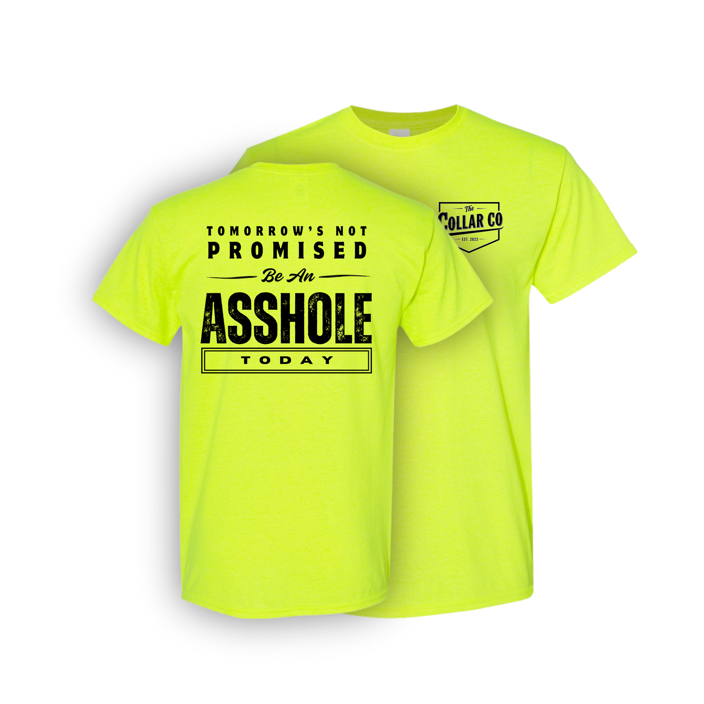 TOMORROWS NOT PROMISED T SHIRT
