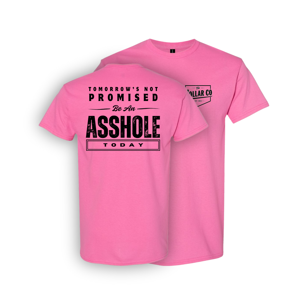 TOMORROWS NOT PROMISED T SHIRT