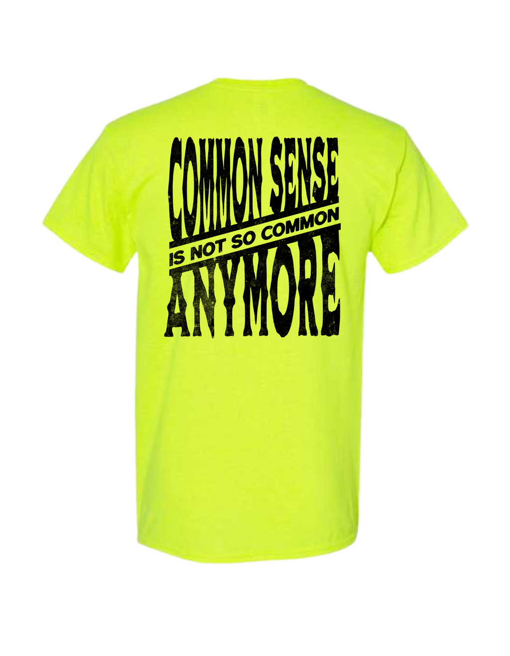 COMMON SENSE IS NOT SO COMMON ANYMORE T SHIRT
