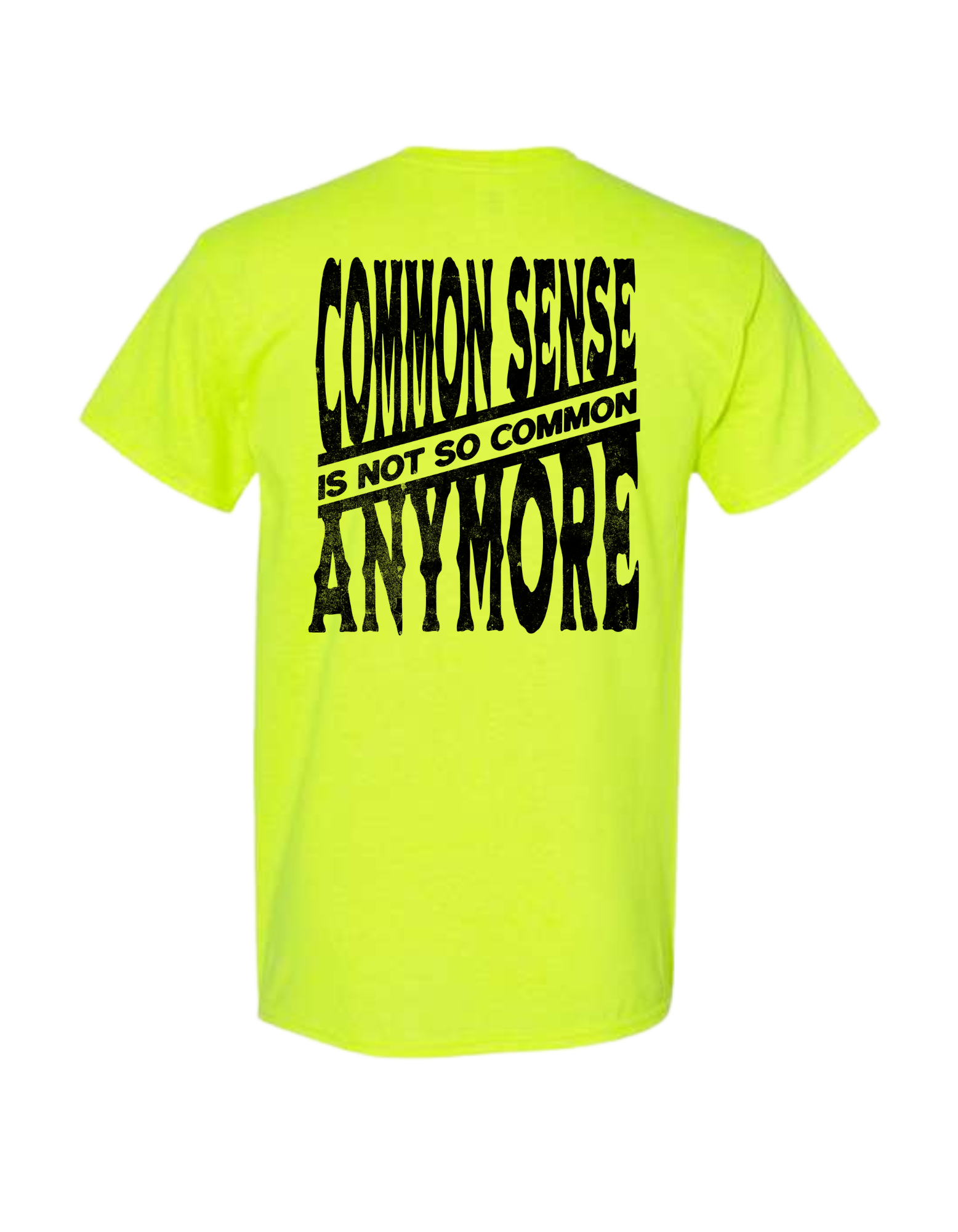 COMMON SENSE IS NOT SO COMMON ANYMORE T SHIRT