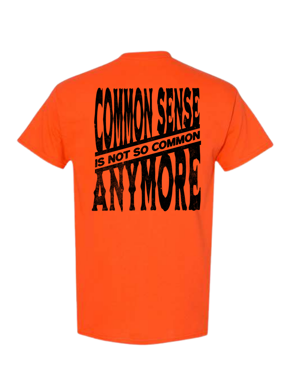 COMMON SENSE IS NOT SO COMMON ANYMORE T SHIRT