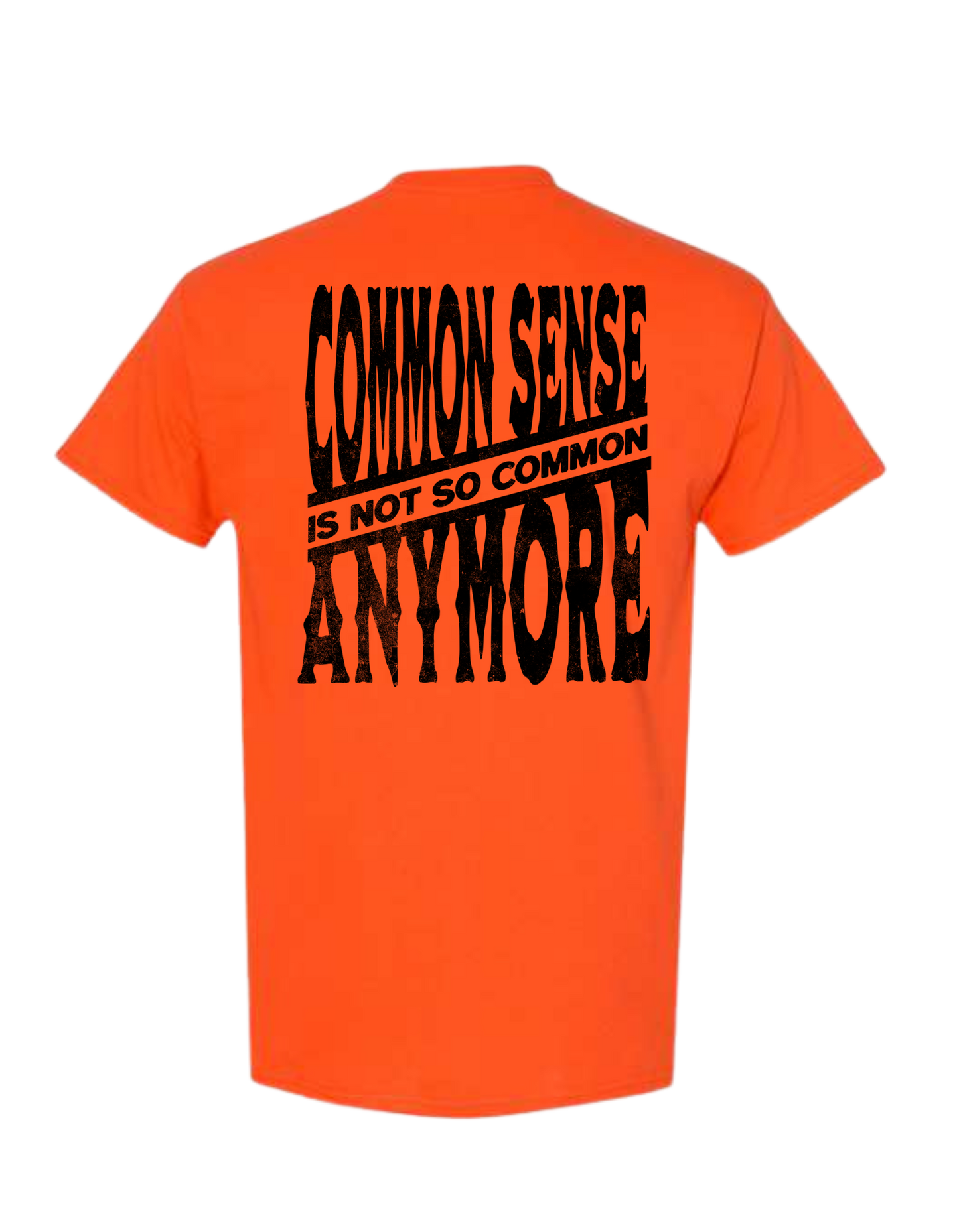 COMMON SENSE IS NOT SO COMMON ANYMORE T SHIRT