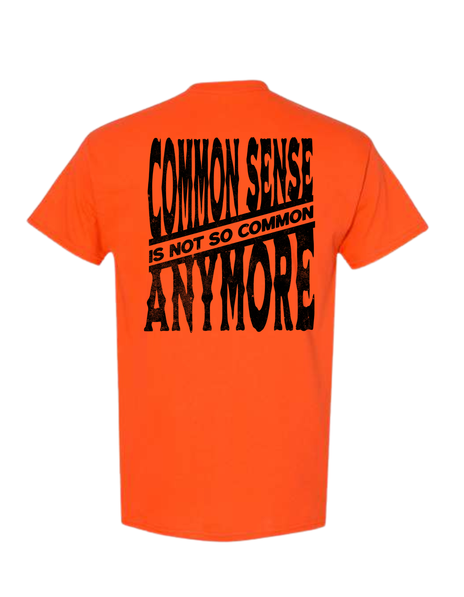COMMON SENSE IS NOT SO COMMON ANYMORE T SHIRT