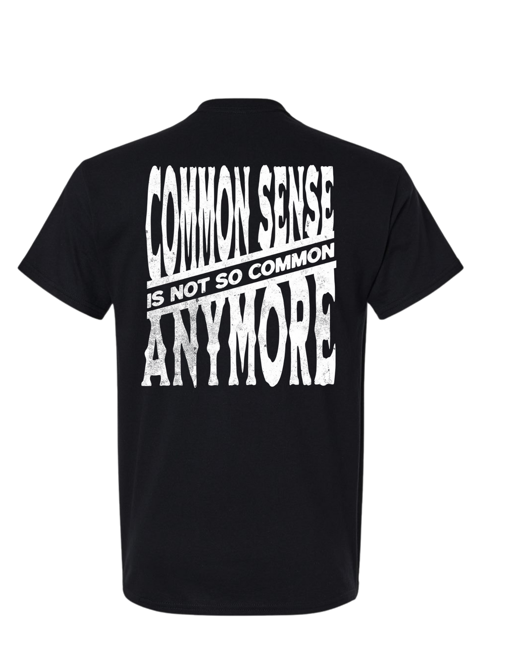COMMON SENSE IS NOT SO COMMON ANYMORE T SHIRT