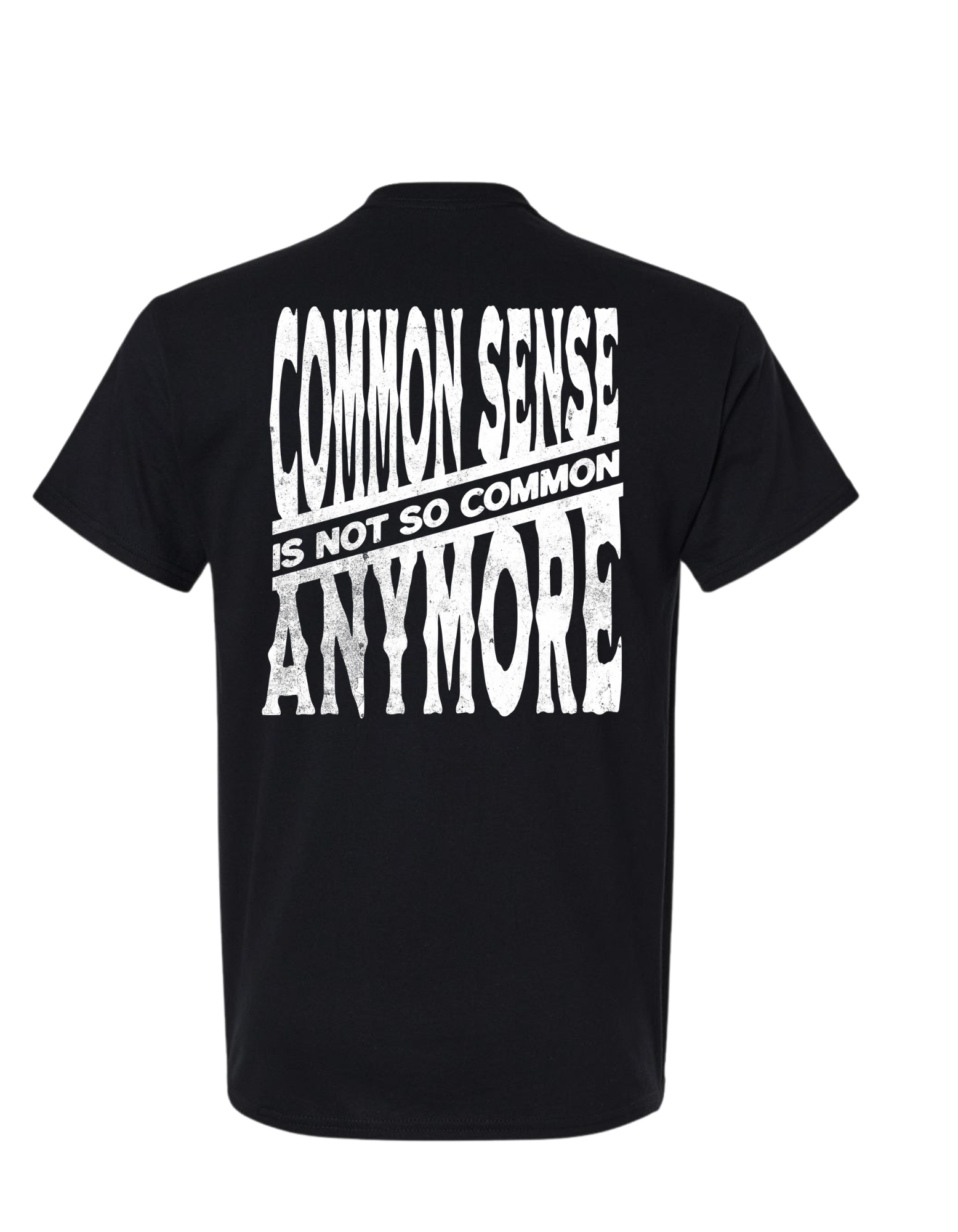 COMMON SENSE IS NOT SO COMMON ANYMORE T SHIRT