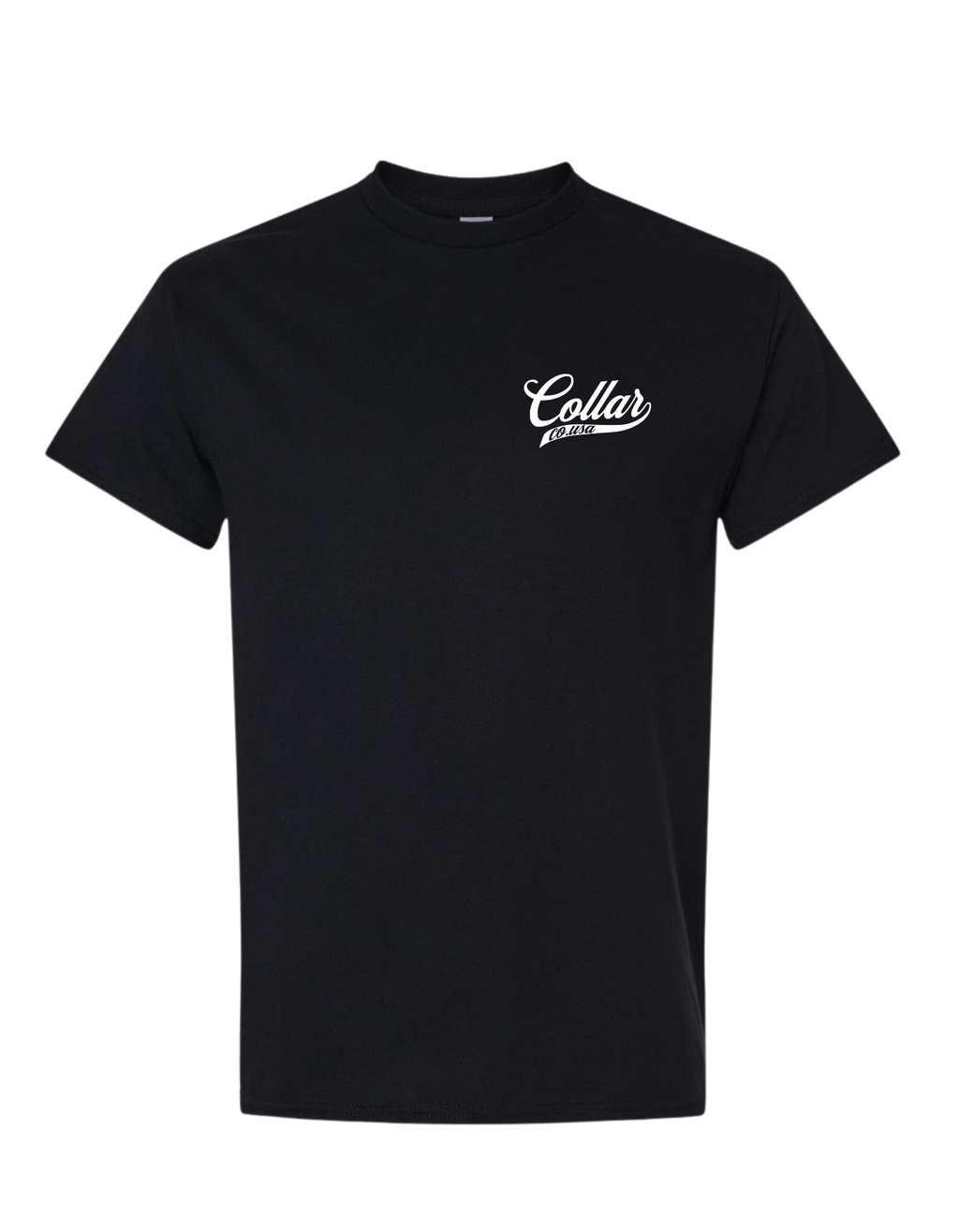 COMMON SENSE IS NOT SO COMMON ANYMORE T SHIRT