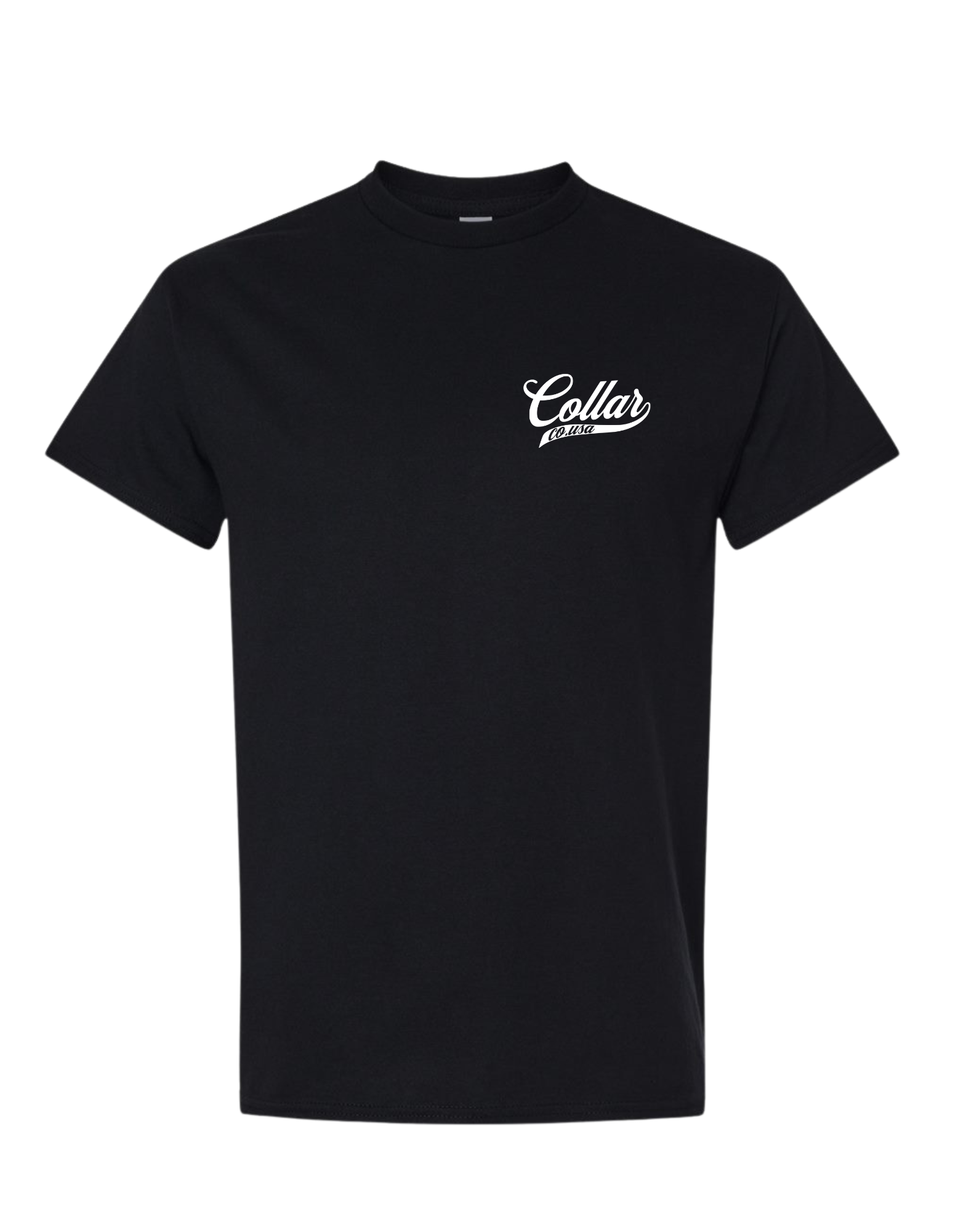 COMMON SENSE IS NOT SO COMMON ANYMORE T SHIRT