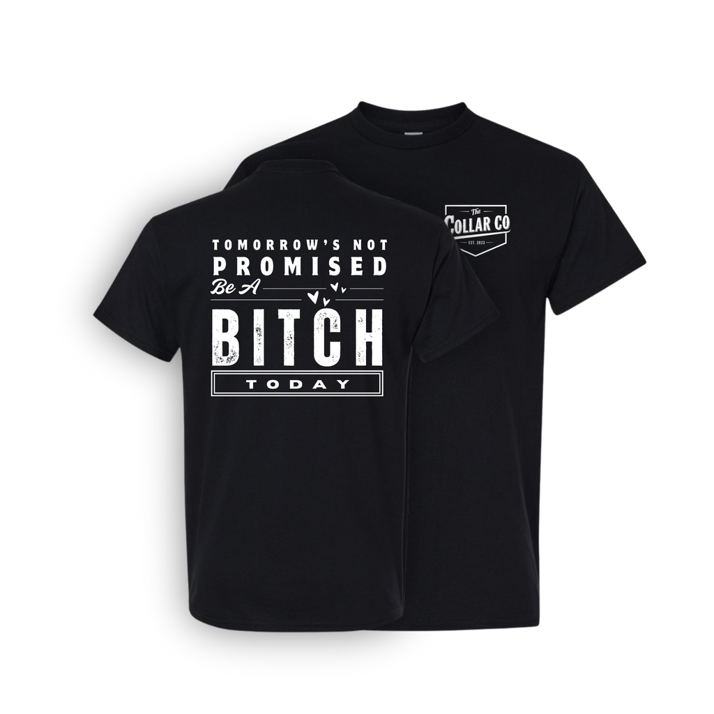 TOMORROW'S NOT PROMISED (FOR HER) T SHIRT