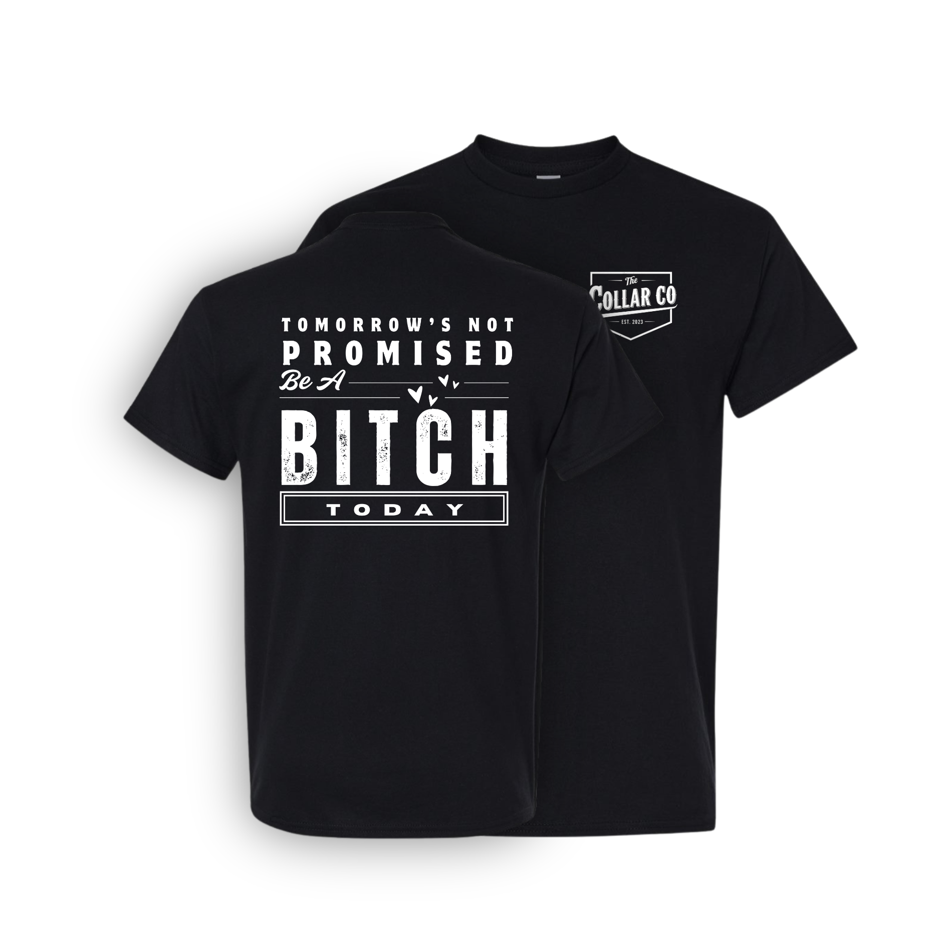 TOMORROW'S NOT PROMISED (FOR HER) T SHIRT