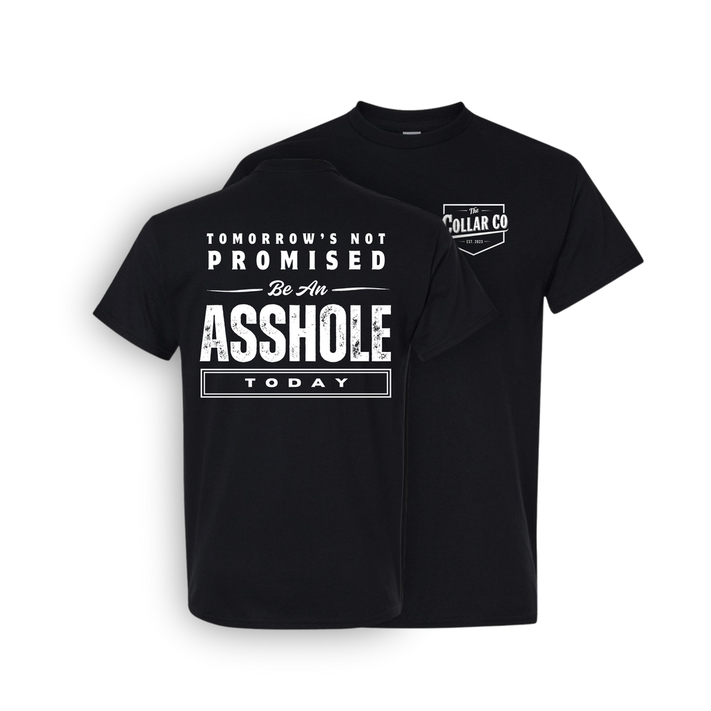 TOMORROWS NOT PROMISED T SHIRT