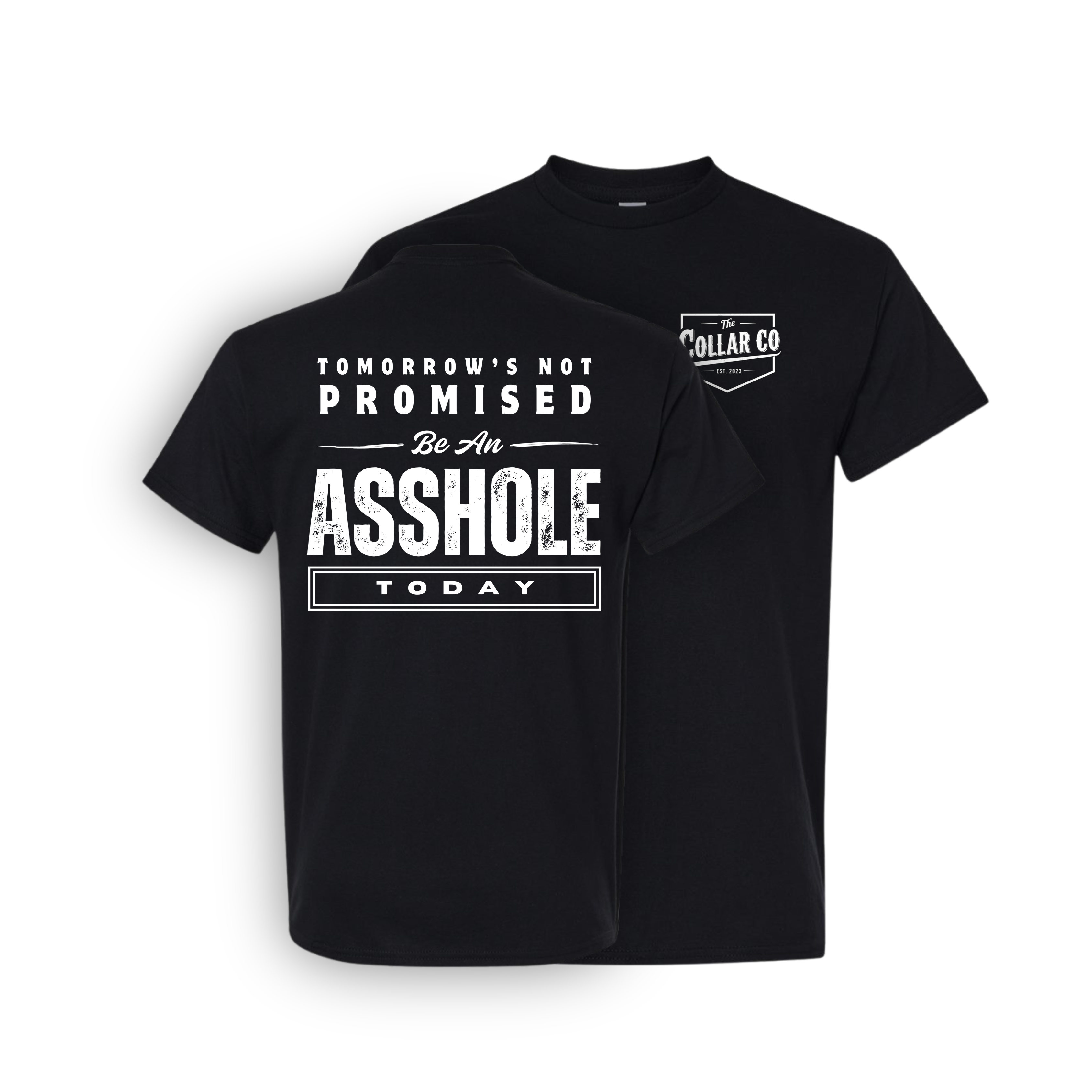 TOMORROWS NOT PROMISED T SHIRT